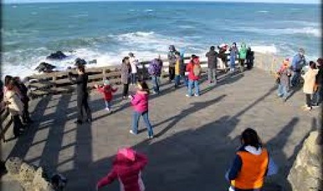 Batu kepala naga di Jeju.