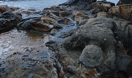 Batu Malin Kundang