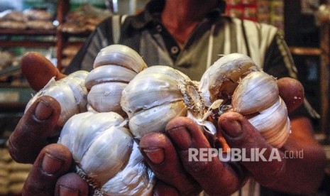 BI Sumbar dorong pemasaran online.. Foto ilustrasi: Bawang putih. Pemerintah Provinsi Sumatera Barat (Sumbar) akan menggelar operasi pasar bawang putih dengan harga Rp 32 ribu per kg.