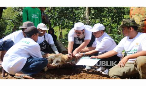 Baznas RI melaksanakan penyembelihan hewan kurban di Kampung Baros, Desa Cibuntu, Kecamatan Wanayasa, Kabupaten Purwakarta, Kamis (29/6/2023).