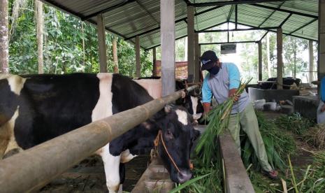 Baznas sigap dalam menjaga kesehatan hewan ternak, salah satu caranya adalah dengan membatasi keluar masuknya ternak maupun orang ke lokasi Balai Ternak Baznas.