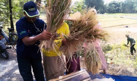 baznas tingkatkan pertanian / peternakan