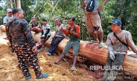 BBKSDA Riau KLHK dan TNI menghentikan aktivitas penebangan ilegal di dalam kawasan Suaka Margasatwa Bukit Rimbang dan Bukit Baling, Desa Pangkalan Indarung, Kecamatan Singingi, Kabupaten Kuantan Singingi, Provinsi Riau, beberapa waktu lalu.