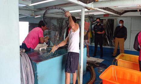 Bea Cukai Ambon memberikan dukungan ekspor hingga ke Pulau Banda. Dalam kesempatan tersebut, Bea Cukai mengunjungi PT Harta Samudra yang bergerak di bidang pengepulan produk Pala dan tempat penyimpanan ikan. Kegiatan yang dilakukan sampai ke pelosok ini merupakan bukti nyata Bea Cukai dalam menjalankan fungsinya selaku industrial assistant.