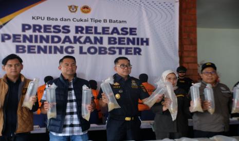 Bea Cukai Batam gagalkan upaya penyelundupan 266.600 benih lobster di Perairan Wisata Joyo Ressort, Kabupaten Bintan, Kepulauan Riau, pada Sabtu (12/10/2024).