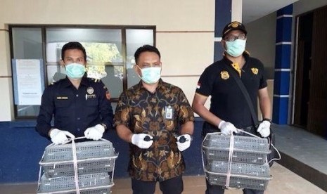 Bea Cukai bersama burung murai yang berhasil diselamatkan.