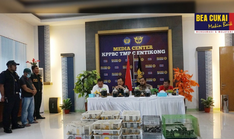 Bea Cukai Entikong menggelar konferensi pers penangkapan penyelundupan 440 ekor burung kacer asal Malaysia, pada Jumat (18/10).