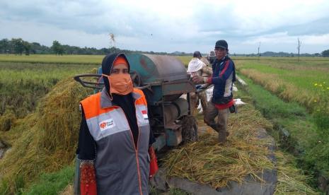 Beberapa Desa Berdaya Rumah Zakat sudah memasuki musim panen beragam produk pertanian.