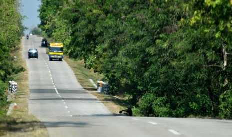 Beberapa kendaraan melewati jalan di tengah hutan jati di Cikamurang, Indramayu, Jaaw Barat, Kamis (25/8). Cikamurang merupakan salah satu jalan alternatif bagi pemudik menuju Cirebon dengan waktu tempuh 1,5 jam lebih cepat dari pada melewati Indramayu. Na