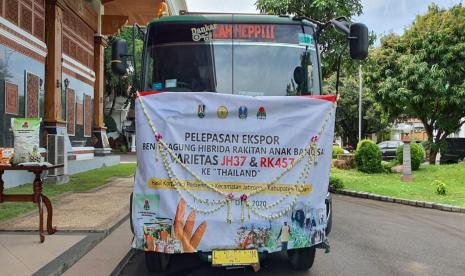 Benih jagung hibrida hasil inovasi rakitan anak bangsa sukses bersaing di pasar ekspor. Benih yang diciptakan Badan Penelitian dan Pengembangan Pertanian Kementerian Pertanian (Kementan) itu diekspor ke Thailand sebanyak 14 ton dari 60 ton kontrak varietas JH 37 dan RK 457.