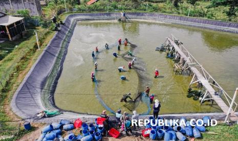 Berbekal teknologi bernama Aquahero, DELOS dapat menjadi solusi dari problem tradisional tambak udang yang terjadi sekarang ini.