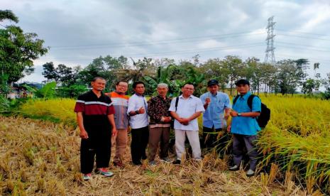 Bertempat di kompleks Embung Setumpeng Desa Gentungan, Kecamatan Mojogedang, Kabupaten Karanganyar telah berlangsung kegiatan sertifikasi profesi pendamping pertanian organik yang dilaksanakan pada Jumat, (17/6/2022). 