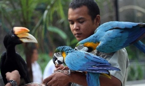 Biarpun belum semua hewan sudah bisa dilihat, tapi Gembira Loka telah beroperasi normal.