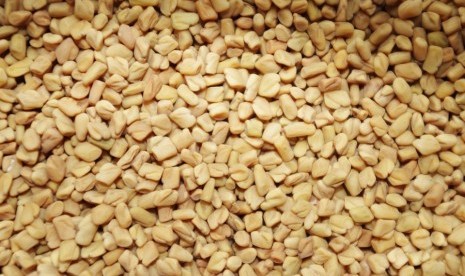 Biji fenugreek