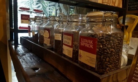 Biji kopi Sipirok dan biji kopi luwak Sipirok yang berada di etalase Sipirok Coffee