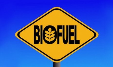 Biofuel (illustration)