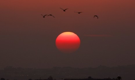 Birds fly as the sun sets over the northern Gaza Strip November 20, 2012. Oil fell on Tuesday after a Hamas official announced that officials from Gaza Strip and Israel had agreed to a ceasefire. (illustration)