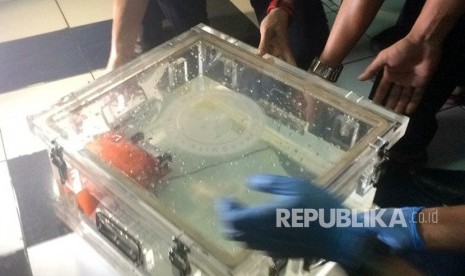 Black box flight data recorder (FDR) milik pesawat Lion Air bernomor registrasi PK-LQP dengan nomor penerbangan JT 610 sampai di Gedung Komite Nasional Keselamatan Transportasi (KNKT), Jakarta Pusat, Kamis (1/11) pukul 19.00 WIB. Black box yang berisi data penerbangan itu langsung dibawa masuk ke ruangan Wakil Ketua KNKT untuk diperiksa.