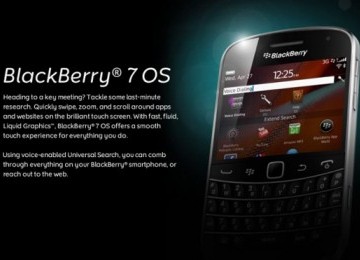 Blackberry 7