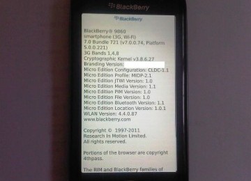 Blackberry Monza