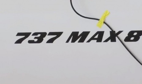 Boeing 737 MAX 8 (Ilustrasi)