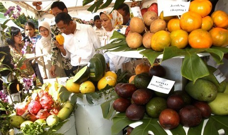 Bogor Agricultural University holds a fruit fair. Four of its departments gain accreditations from international level institutions. (illustration) 