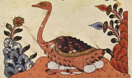 Book of Animal, al-Jahiz