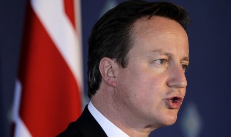 Britain's Prime Minister David Cameron speaks during a news conference on the second day of the G20 Summit in Los Cabos, Mexico June 19, 2012.  