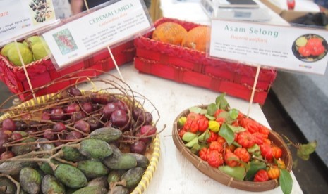 Buah-buahan unik dan langka yang dipamerkan di ajang 'Fruit and Veggie Festival' 