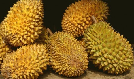 Buah durian.