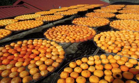 Buah kesemek yang dikeringkan merupakan kudapan populer di Taiwan. Buah kering termasuk tidak dianjurkan untuk orang yang kadar kolesterolnya tinggi.