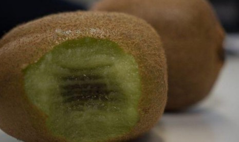 Buah kiwi