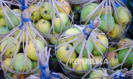 Buah Mangga Gincu Indramayu. (Republika/Edi Yusuf)