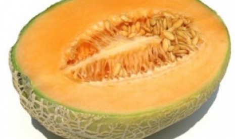 Buah Melon, ilustrasi