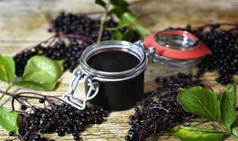 Elderberry merupakan berry ungu yang kaya antioksidan (Foto: buah elderberry)