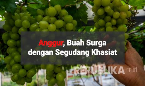 Buah Anggur