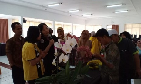 budidaya bunga anggrek di Lembang Bandung