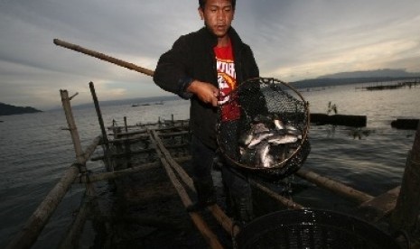 Budidaya ikan di Danau Toba (ilustrasi)