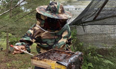 Budidaya lebah trigona di lahan pascatambang Pabrik Baturaja merupakan inovasi karyawan Semen Baturaja yang telah meraih penghargaan pada ajang nasional hingga internasional