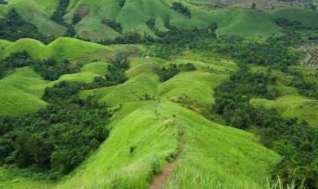 Bukit Lintang Pelaihari.