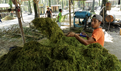 BUMDes Desa Dataran Kempas bantu koordinir pengelolaan produksi pupuk organik.