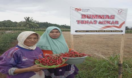 BUMMas Mekar adalah salah satu kelompok badan usaha yang dibina oleh RumahZakat sejak tahun 2021. Terletak di desa berdaya Bukik Sikumpa, Nagari Bukik Sikumpa, Kecamatan Lareh Sago Halaban, Kabupaten 50 kota Payakumbuh. BUMMas ini bergerak di bidang pertanian, khusunya kebun cabe.