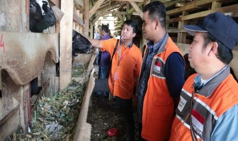 Bummas Sangkan Hurip adalah program pemberdayaan peternak lokal yang digagas oleh Rumah Zakat dengan konsep penggemukan domba.