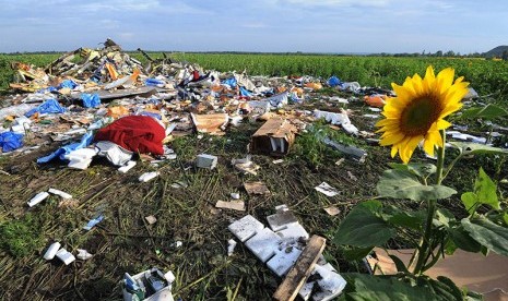 Bunga matahari tumbuh di lokasi jatuhnya mh17