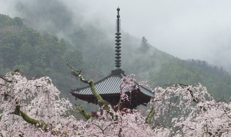 Bunga sakura dengan latar pemandangan salah satu kuil di Prefektur Yamanashi, Jepang.