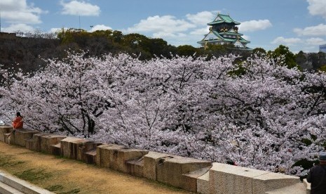 Bunga sakura mekar di sekitar bangunan ikonik di Osaka, Jepang.