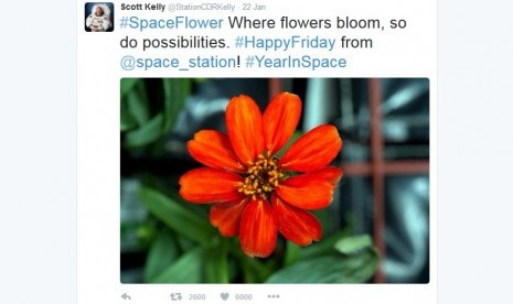 Bunga zinnia oranye yang berhasil mekar di luar angkasa seperti diunggah oleh astronot Scott Kelly di Twitternya.