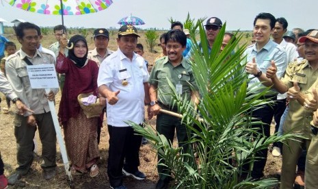 Bupati Banyuasin Askolani (ketiga dari kiri) dan Dirjen Perkebunan Bambang (keempat dari kiri) saat acara  Tanam Perdana Kebun Masyarakat (Plasma) Kelapa Sawit di Desa Air Kumbang Bakti, Kecamatan Air Kumbang, Kabupaten Banyuasin, Sumatra Selatan, Senin (15/10). 