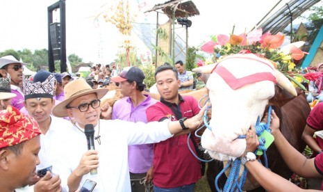 Bupati Banyuwangi Abdulllah Azwar Anas (memegang microphone) terlihat memegang seekor hewan ternak saat perkenalan kartu elektronik ternak (e-Nak) pada Festival Hewan Ternak (Cattle and Pets Festival) di Lapangan Glagah Agung, Purwoharjo, Banyuwangi, Jawa Timur, Ahad (4/8). 