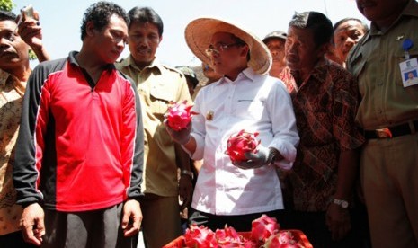 Bupati Banyuwangi, Azwar Anas saat bertatap muka dengan petani